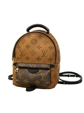 Louis Vuitton Backpack Monogram Reverse Palm Spring Mini Brown